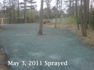 Hydroseed Lawn May 3, Sprayed with Hydroseed Slurry