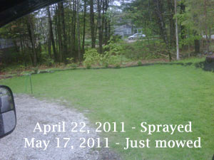 Hydroseed job next to gravel driveway.  One month has gone by and customer did first mowing day before picture